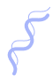 banner-icon